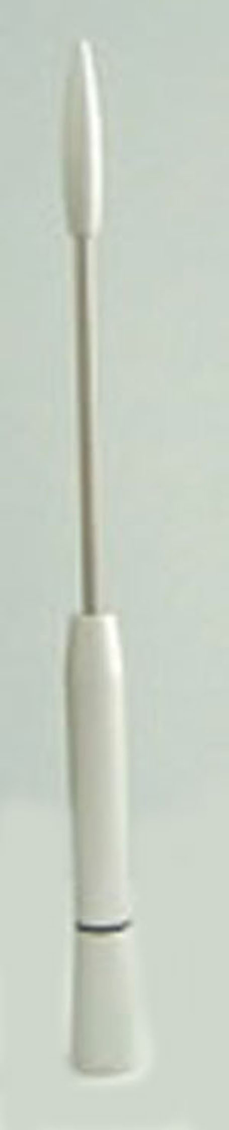 extendable_antenna_RX1099B.jpg